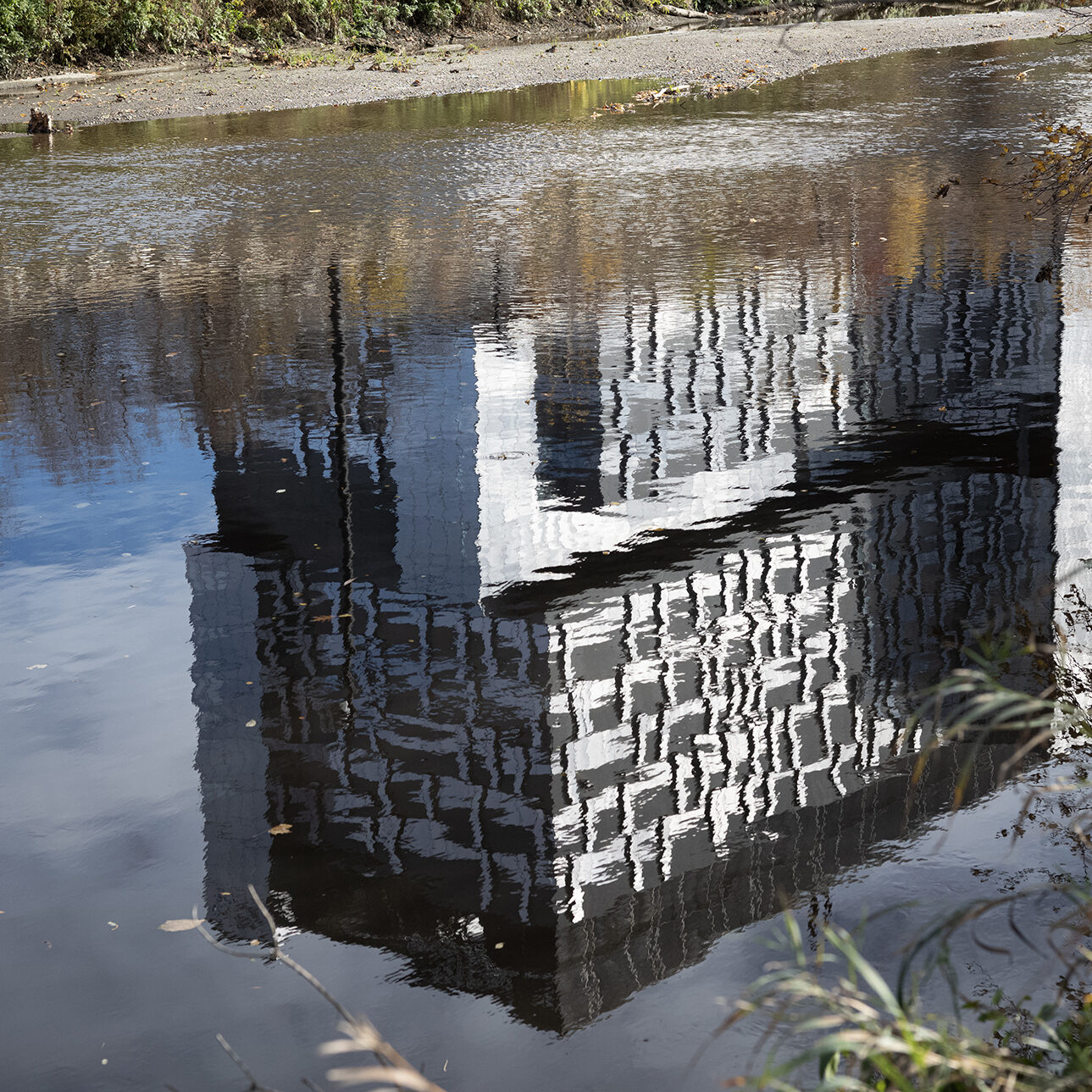 Don River: A water reflection of a modern building on the river with ripples. Plants and trees are also visible on the edges.