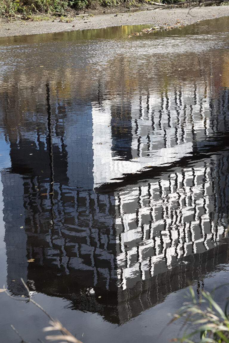 Don River: A water reflection of a modern building on the river with ripples. Plants and trees are also visible on the edges.