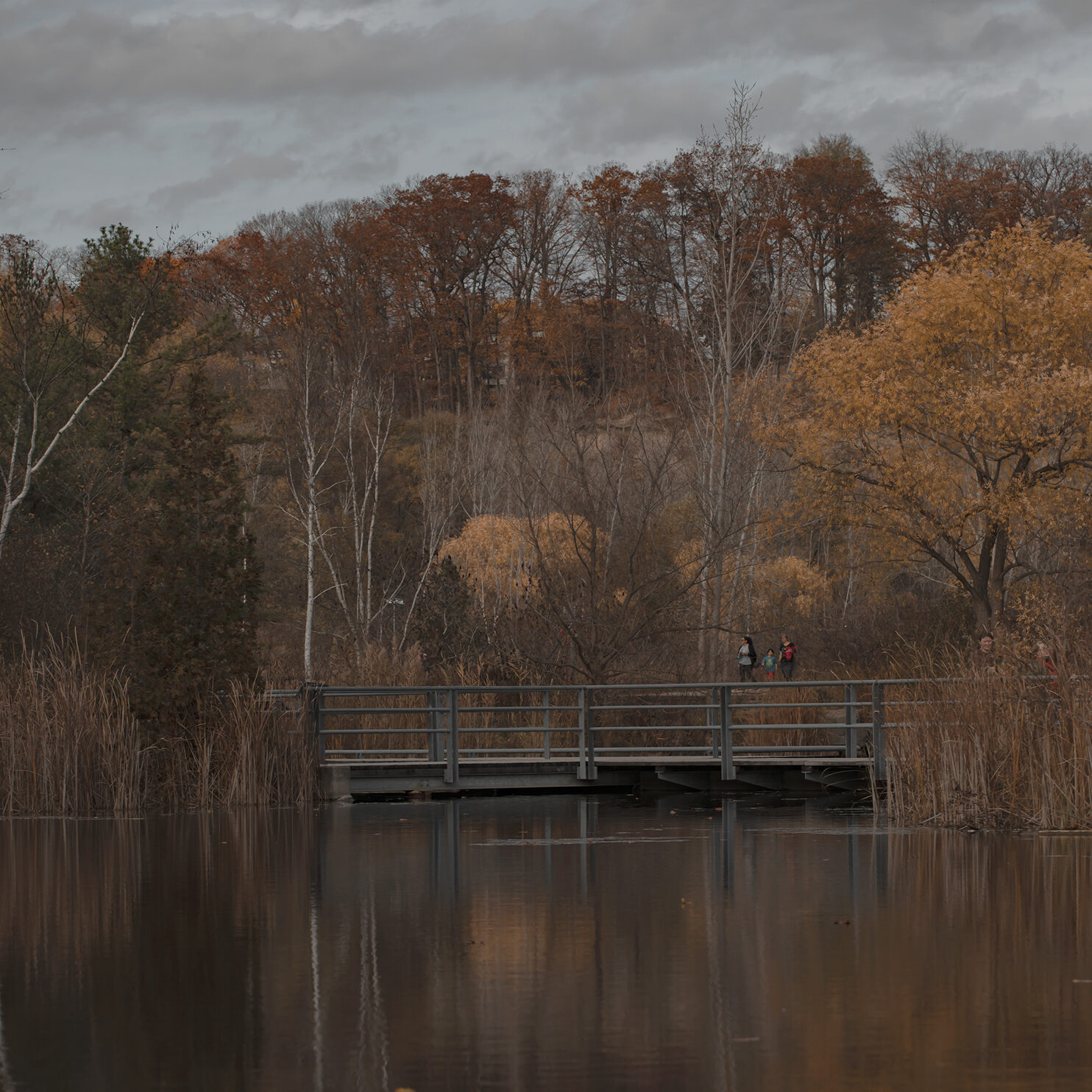 This photo depicts a gloomy fall landscape. From the view across the river, a family of three can be seen crossing a bridge in a forest. They are surrounded by brown, orange and green trees.