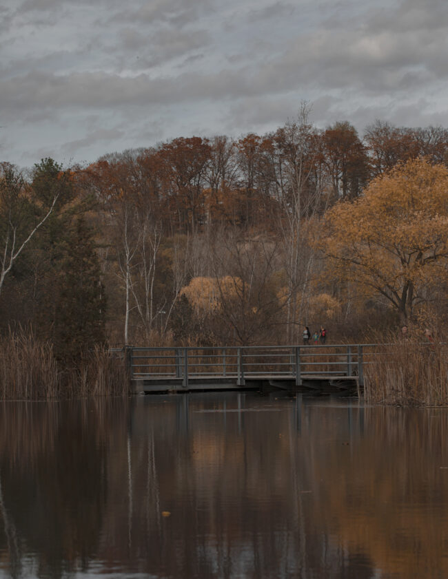 This photo depicts a gloomy fall landscape. From the view across the river, a family of three can be seen crossing a bridge in a forest. They are surrounded by brown, orange and green trees.