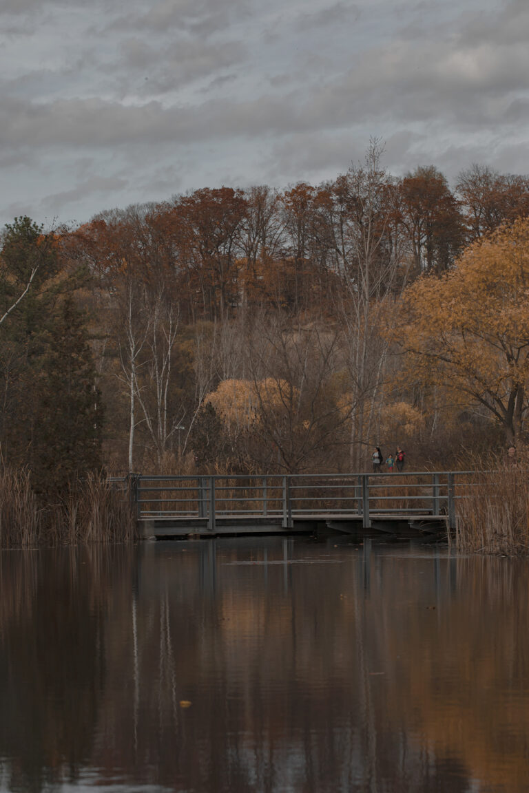 This photo depicts a gloomy fall landscape. From the view across the river, a family of three can be seen crossing a bridge in a forest. They are surrounded by brown, orange and green trees.