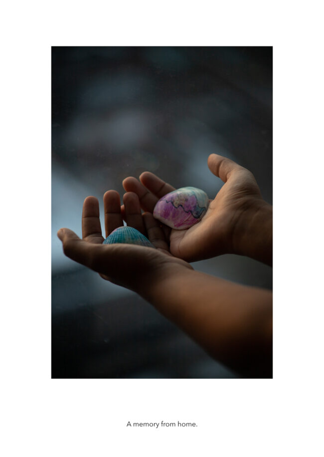 The photo depicts a pair of hands holding a seashell in each hand. The seashells are colored pink and blue. The surrounding part of the image is blurred, solely focused on the two hands.
