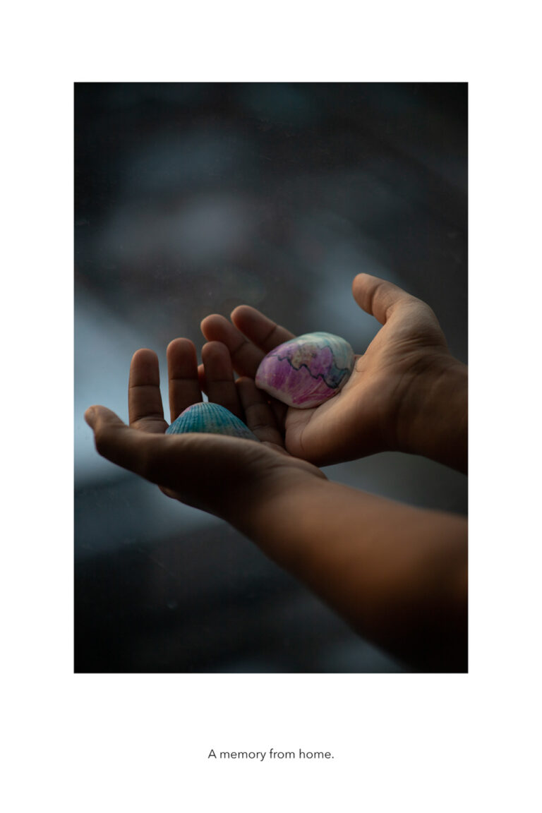 The photo depicts a pair of hands holding a seashell in each hand. The seashells are colored pink and blue. The surrounding part of the image is blurred, solely focused on the two hands.