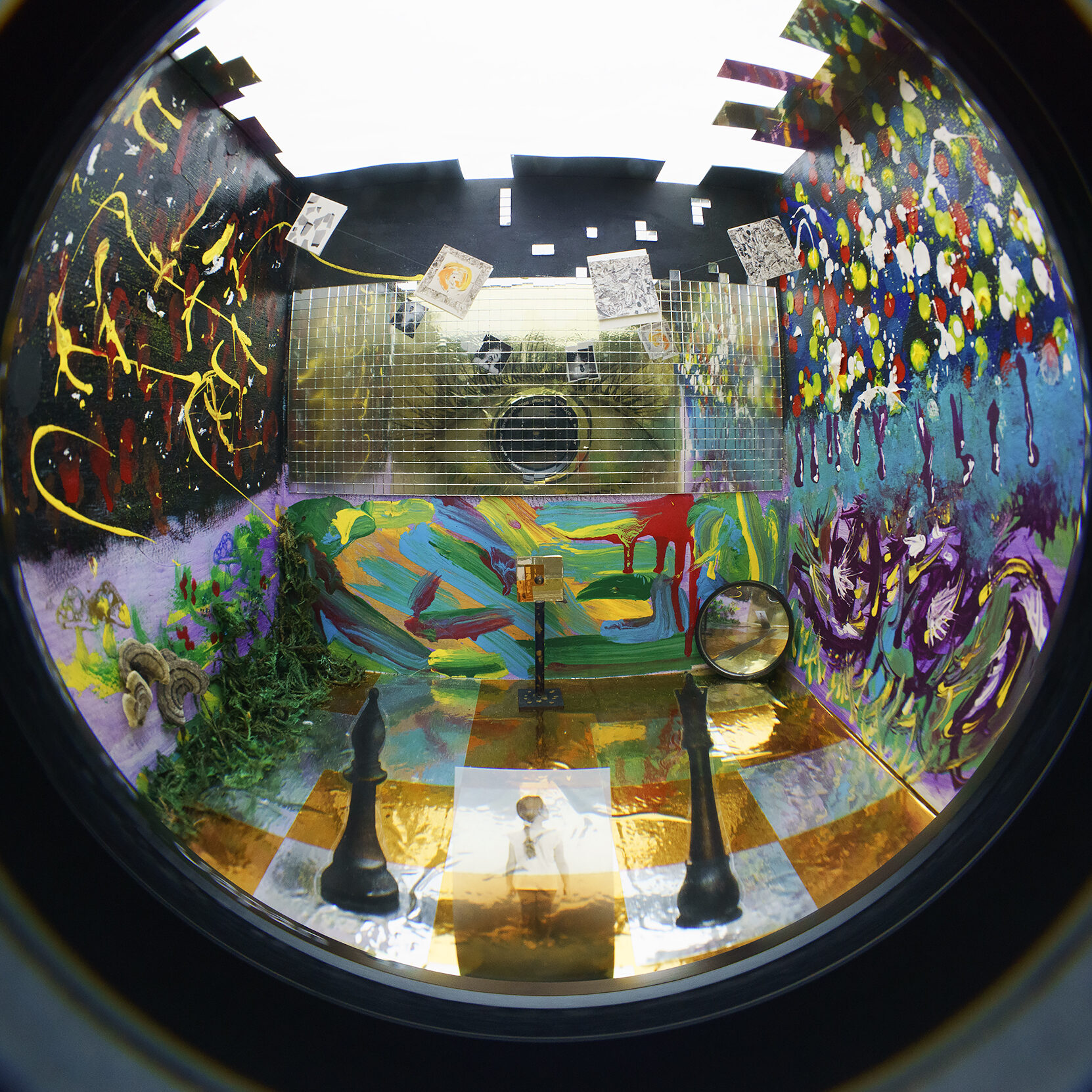 Inside view of the Have You Seen My Alice exhibit box.