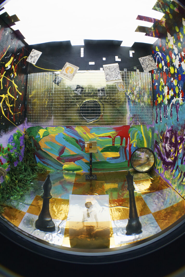 Inside view of the Have You Seen My Alice exhibit box.