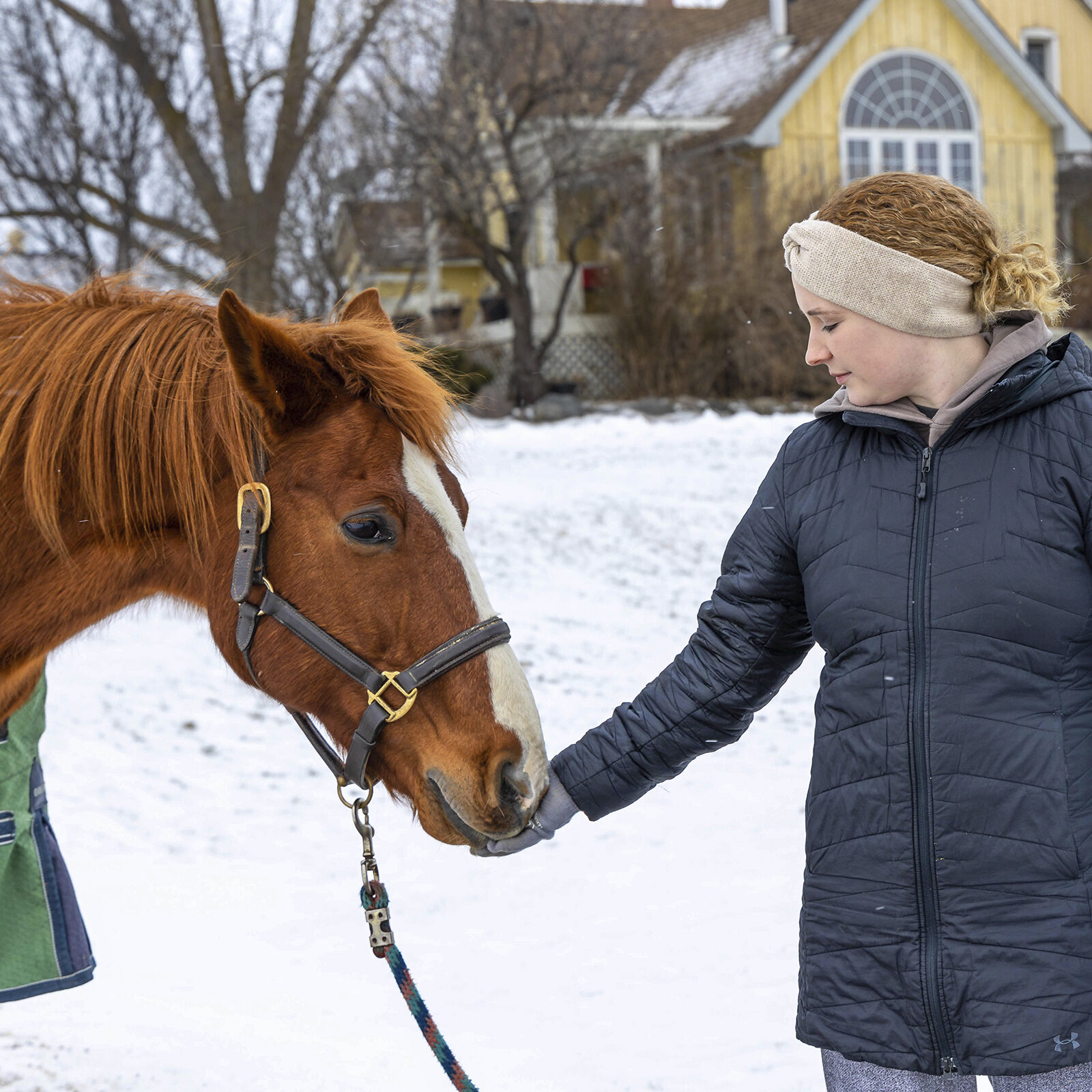 A woman, Laura, at horse therapy tenderly touching a orange/brown coloured horse's snout in the winter on a farm.