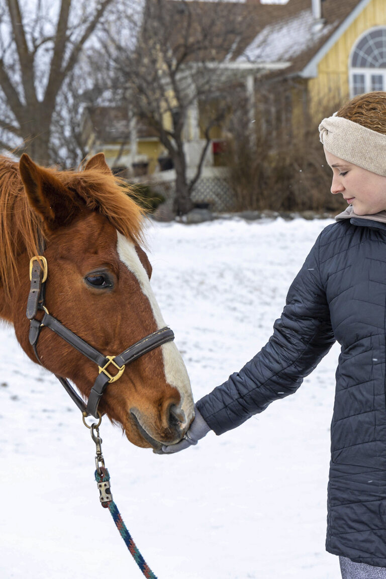 A woman, Laura, at horse therapy tenderly touching a orange/brown coloured horse's snout in the winter on a farm.