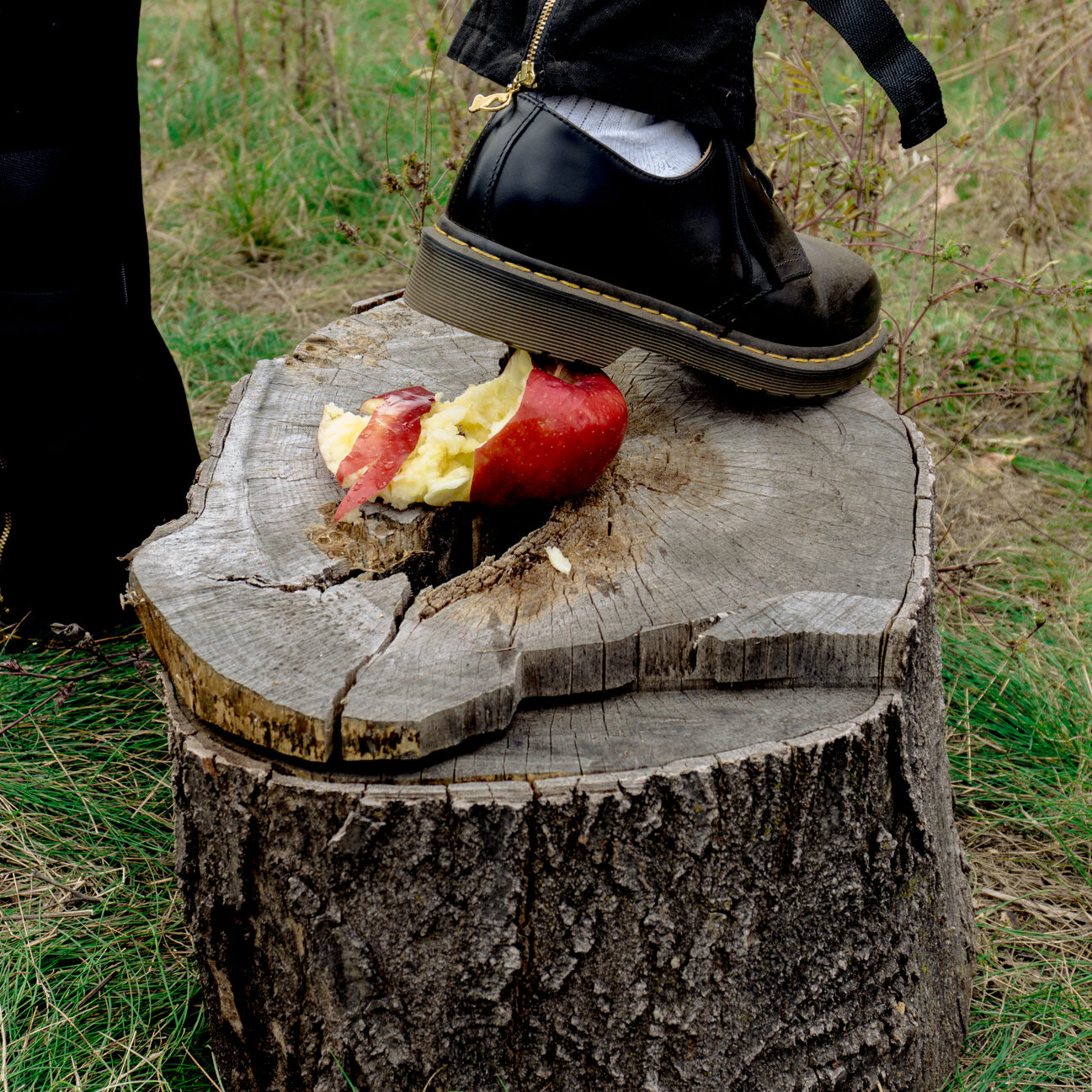 Crushed my Heart (Last Supper): A foot wearing a black leather shoe and a white sock steps off a freshly stepped on apple sitting on a tree stump. Green grass surrounds the stump