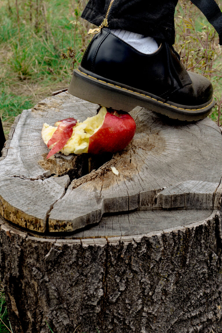 Crushed my Heart (Last Supper): A foot wearing a black leather shoe and a white sock steps off a freshly stepped on apple sitting on a tree stump. Green grass surrounds the stump